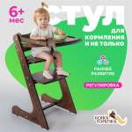 Стульчик для кормления Конёк Горбунёк Комфорт