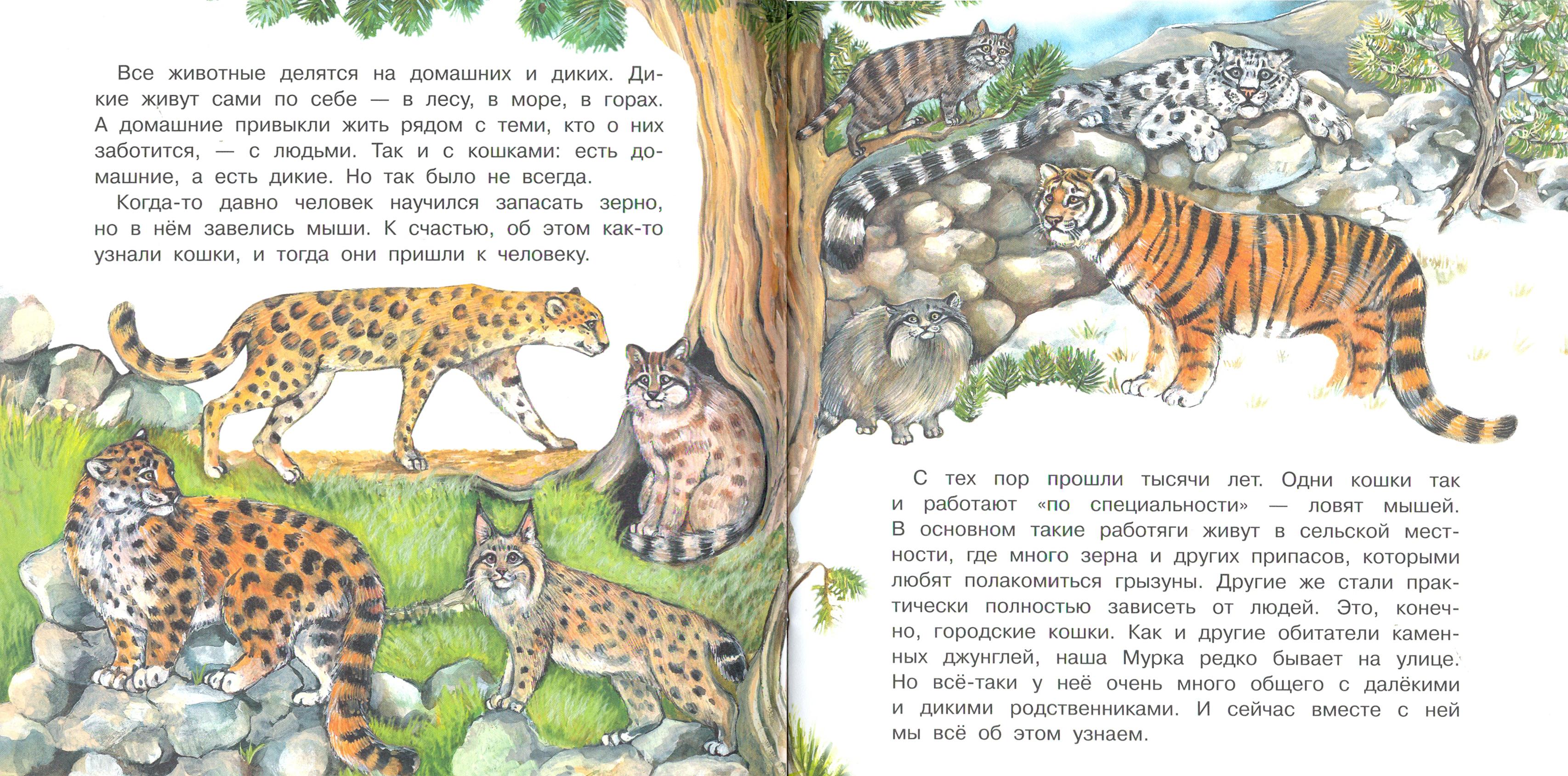 Книга Качели Большая кошачья семья - фото 3