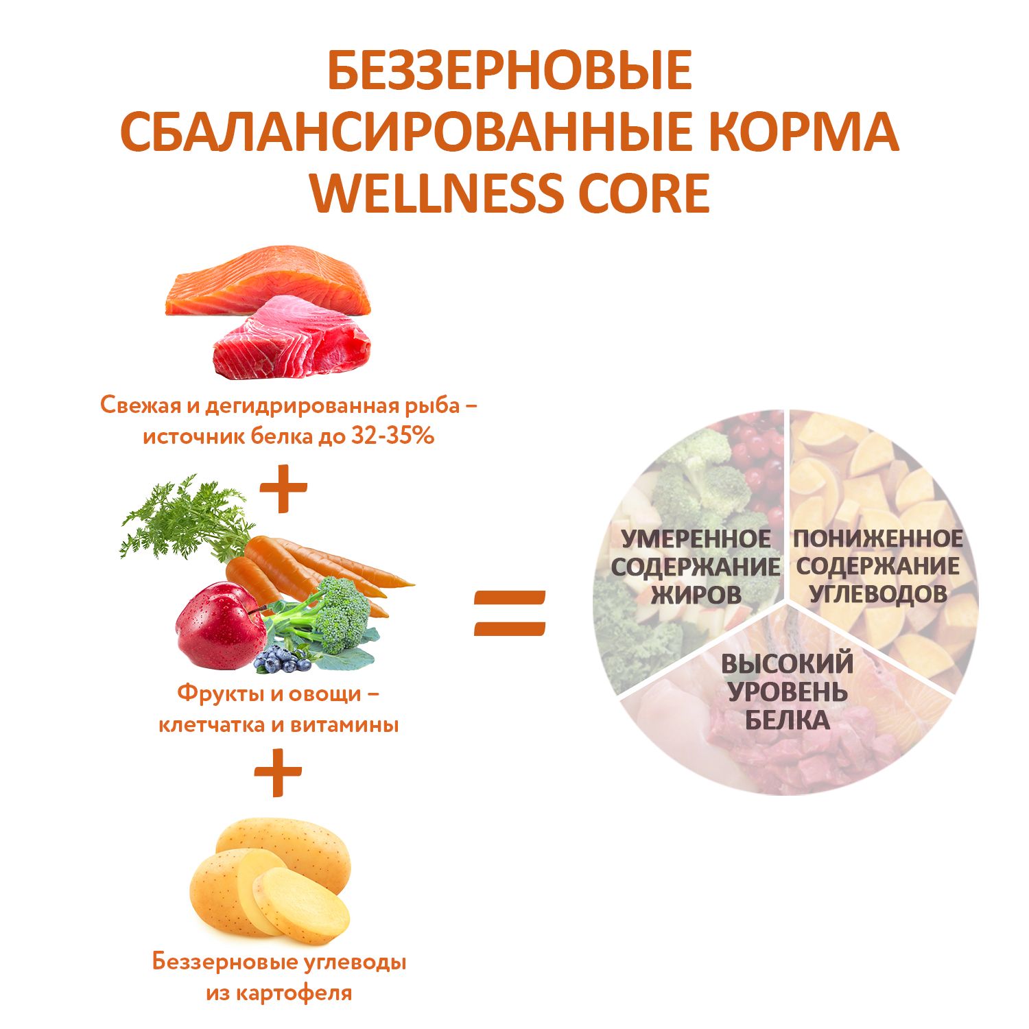 Корм для взрослых собак Wellness CORE 1.8кг лосось-тунец для средних и крупных - фото 7