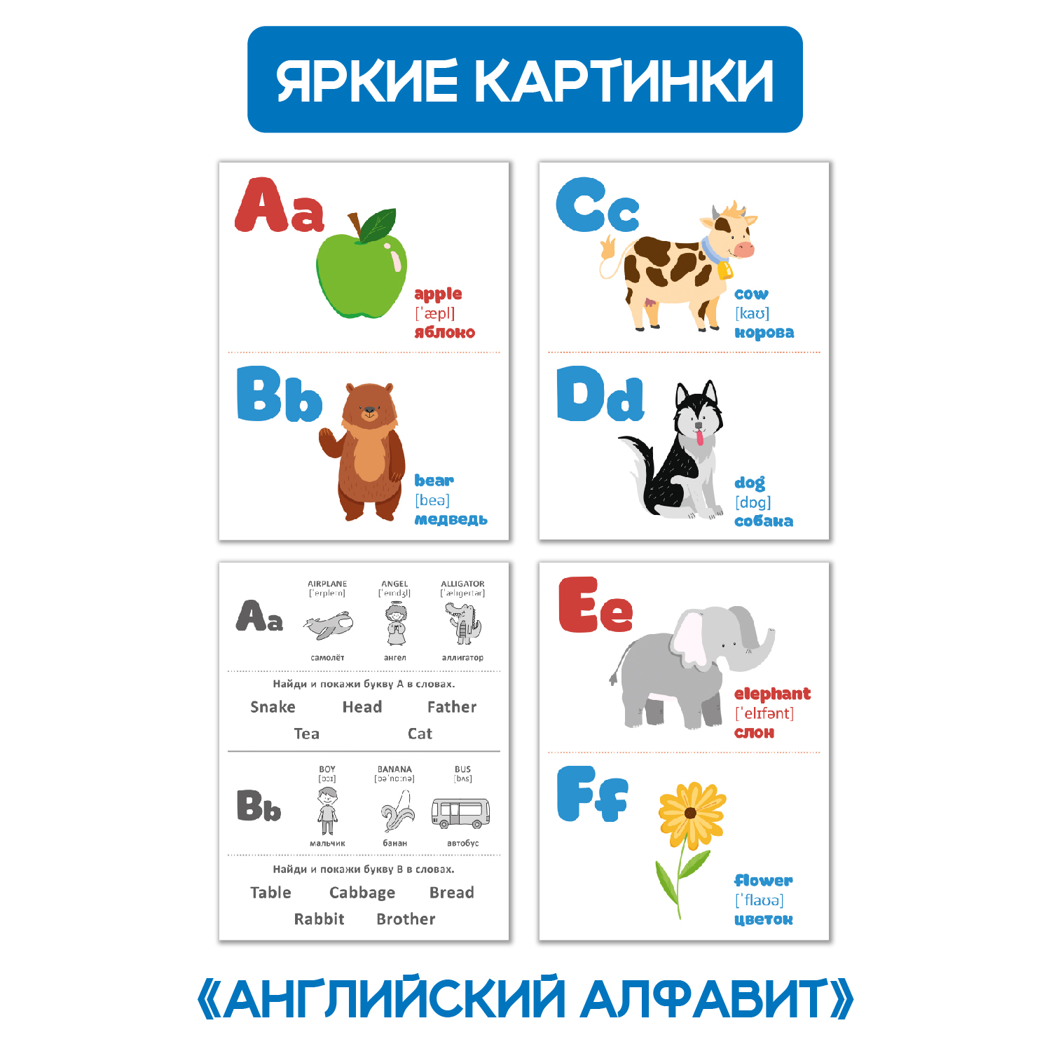 Карточки Проф-Пресс обучающие 3 комплекта по 16 шт 17х22 см. Цифры и фигуры+Английский алфавит - фото 3