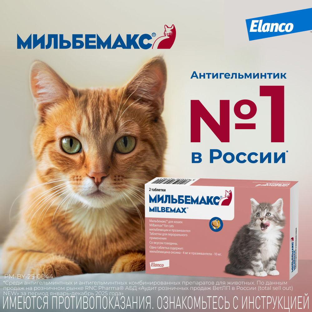 Антигельминтик Мильбемакс Elanco для котят и кошек мелких пород 2таблетки - фото 9