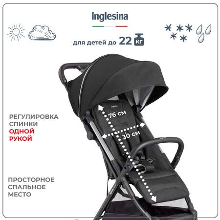 Коляска прогулочная Inglesina Quid 2 Puma Black
