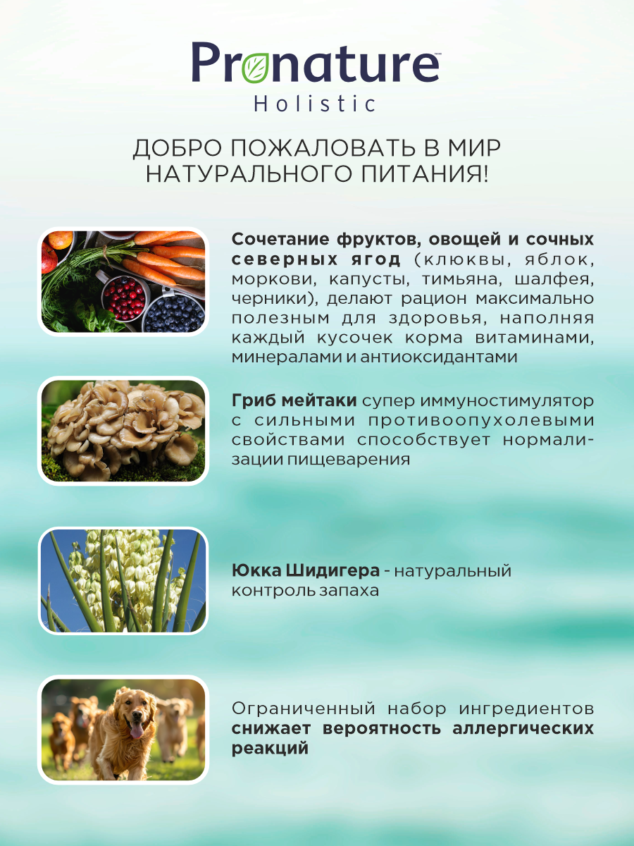 Корм для собак сухой Pronature Holistic Nordic Grain Free беззерновой на индейке и утке 10кг - фото 3