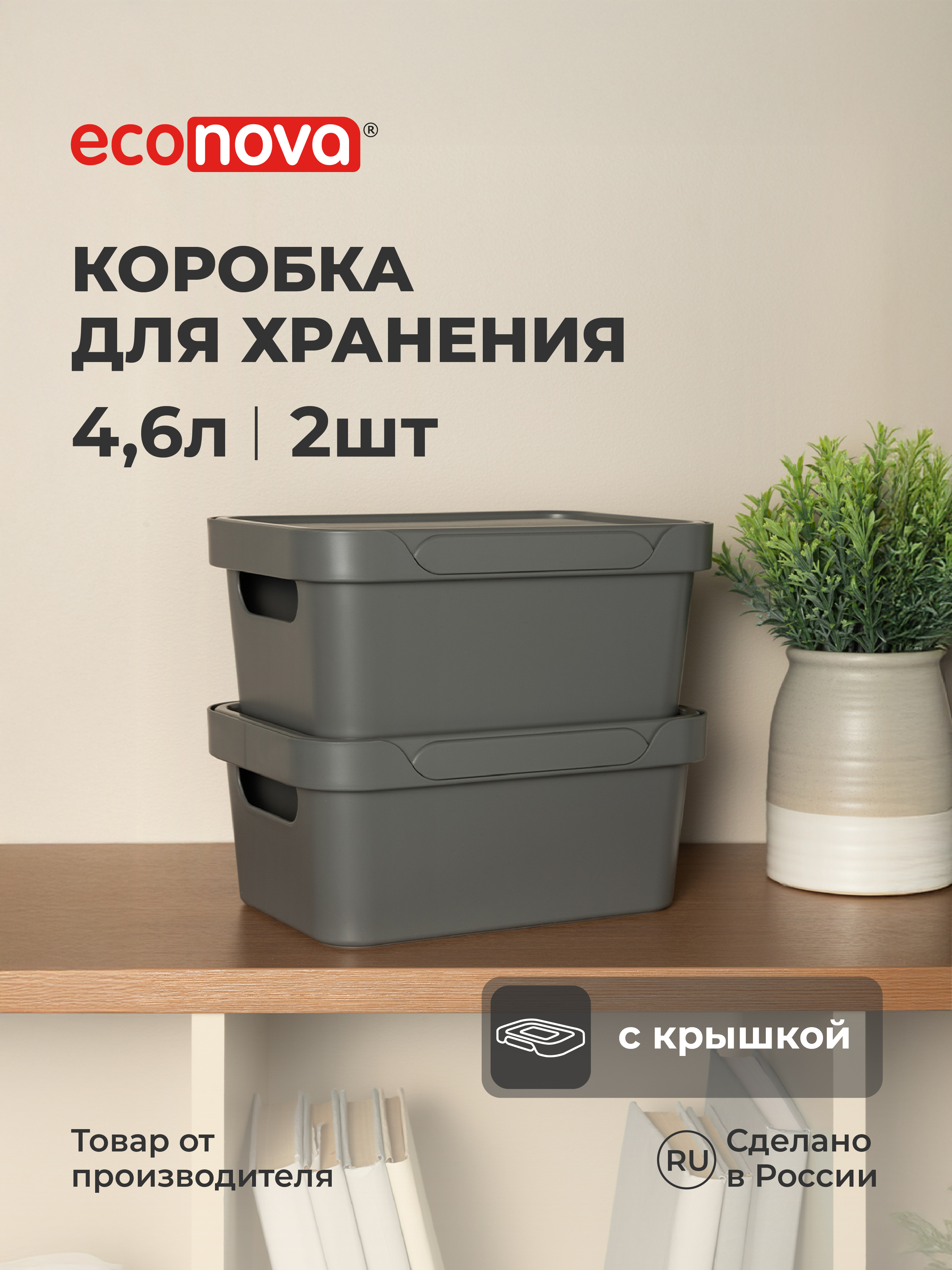 Набор ящиков с крышкой Econova Универсальные, 27х19х12 см, 4,6л - фото 1