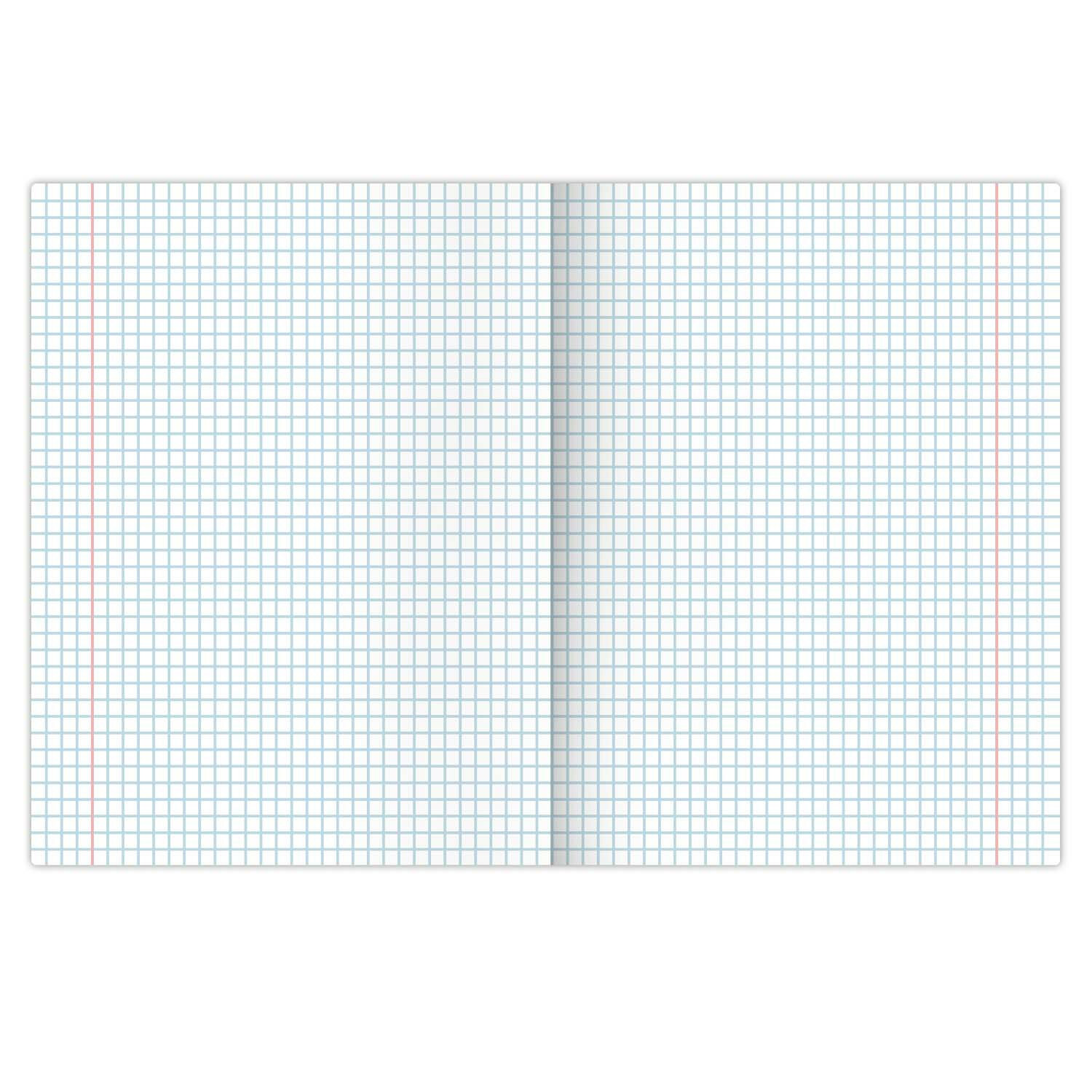 Тетрадь Brauberg 48 лист. 12 шт. - фото 18