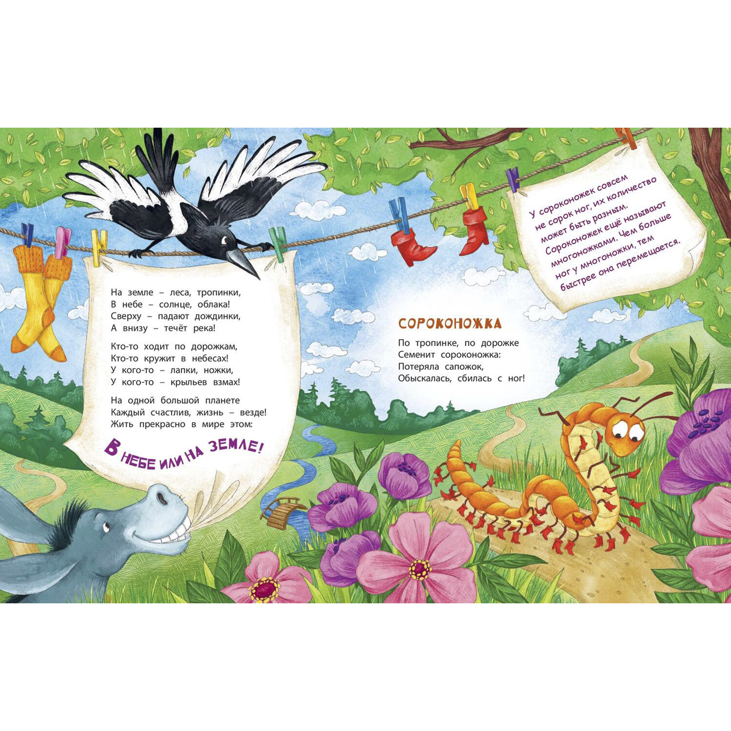 Книга ЭНАС-книга В небе и на земле - фото 5