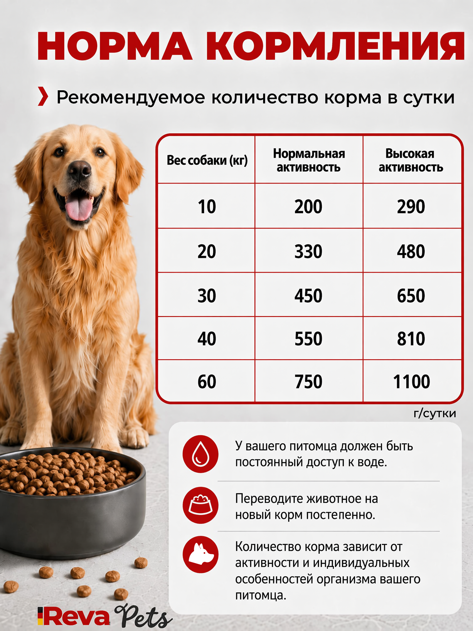 Корм для собак Reva Care сухой полнорационный для собак всех пород с говядиной, 2 кг - фото 5