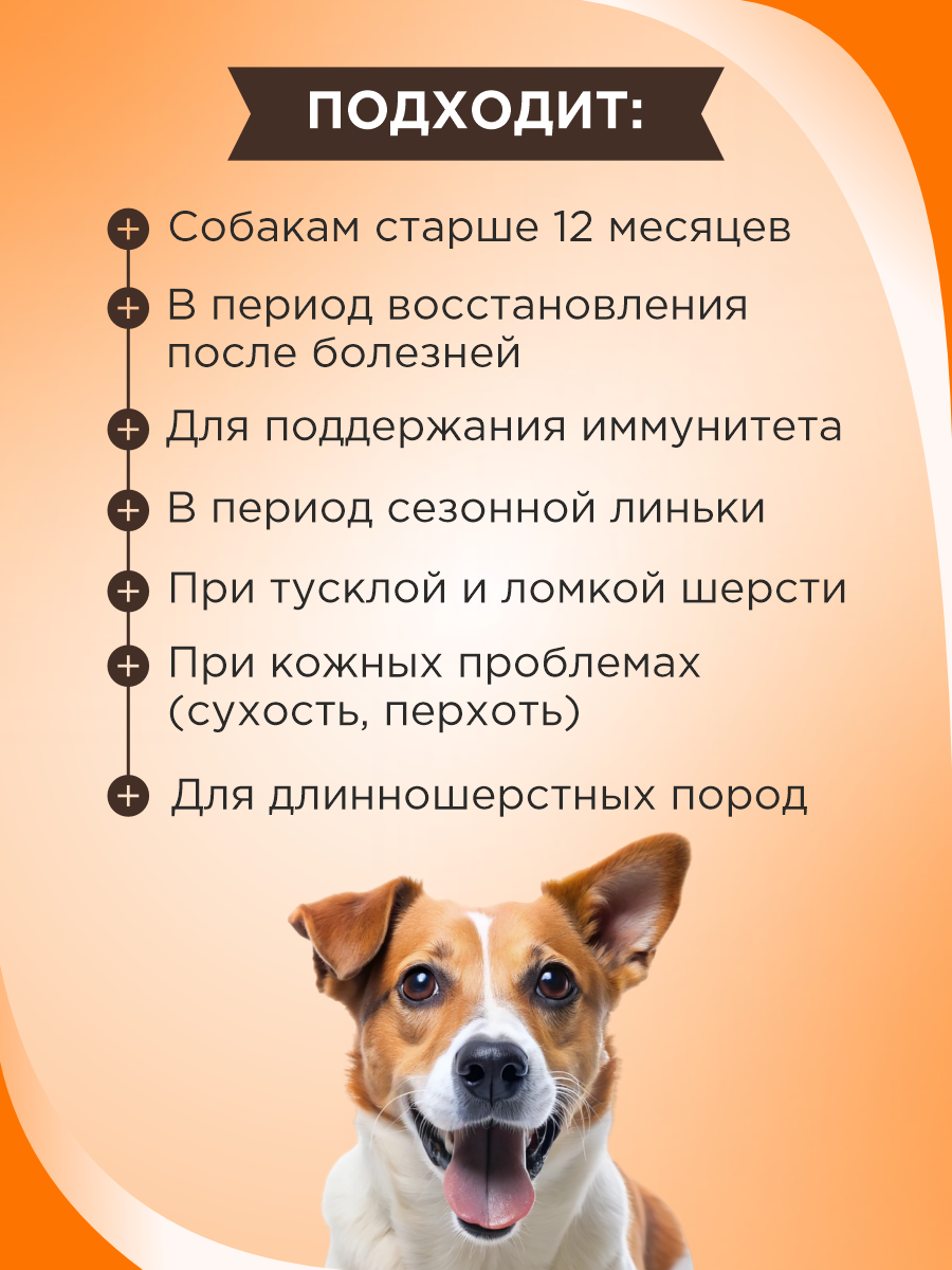 Полезное лакомство для собак GOODR DOG со вкусом голландского сыра 90 таб. - фото 2