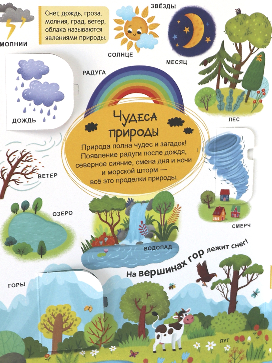 Книга с окошками Мир Вокруг Malamalama Развитие речи. Энциклопедия для малышей - фото 6