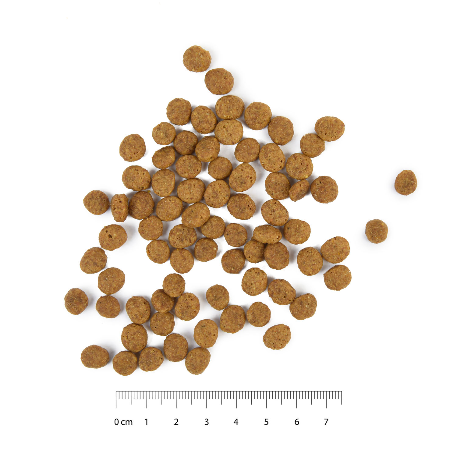 Корм для кошек Carnica 1,5кг с ягненком и рисом сухой - фото 6