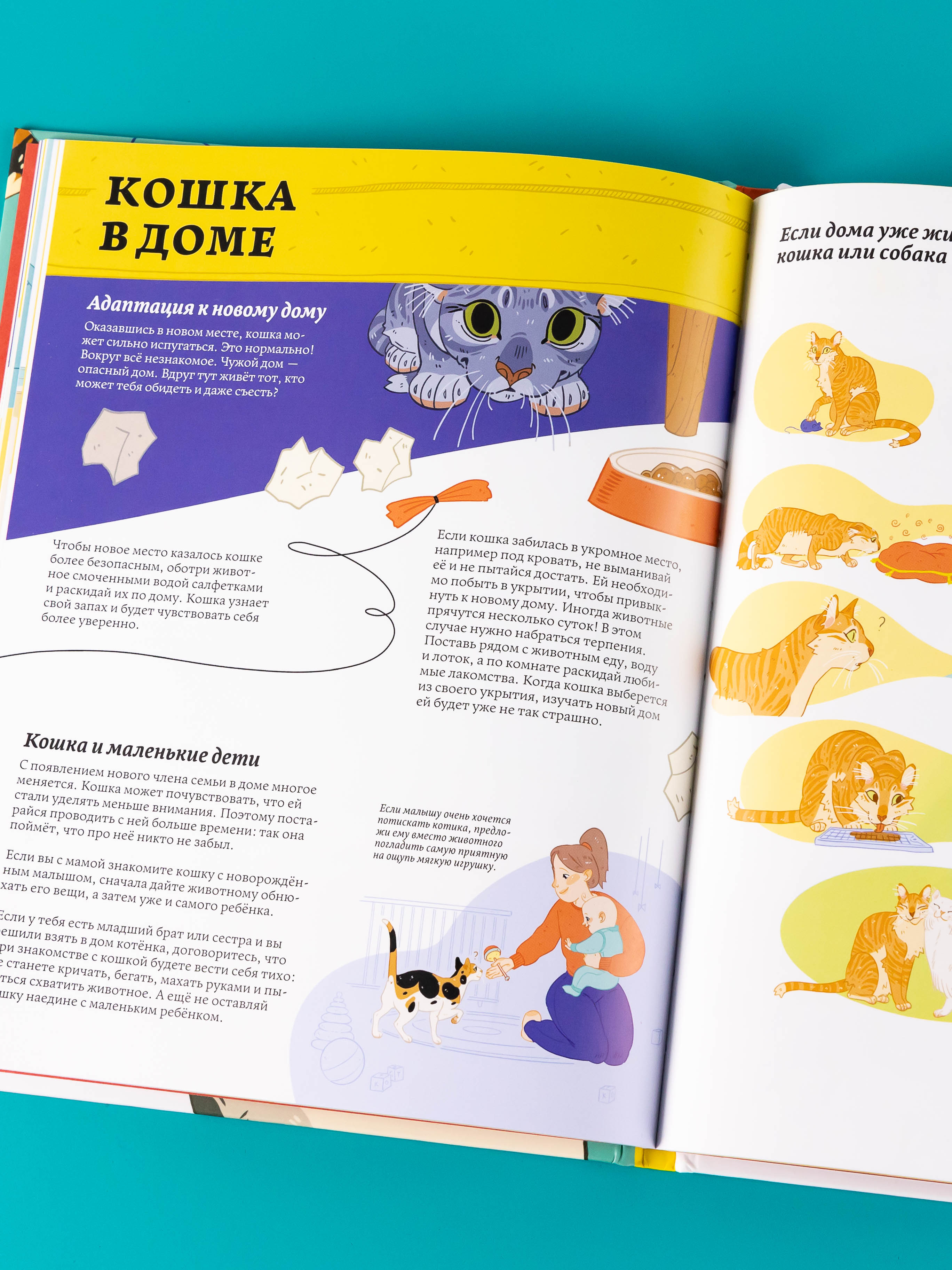 Книга Альпина. Дети Секреты кошек - фото 11