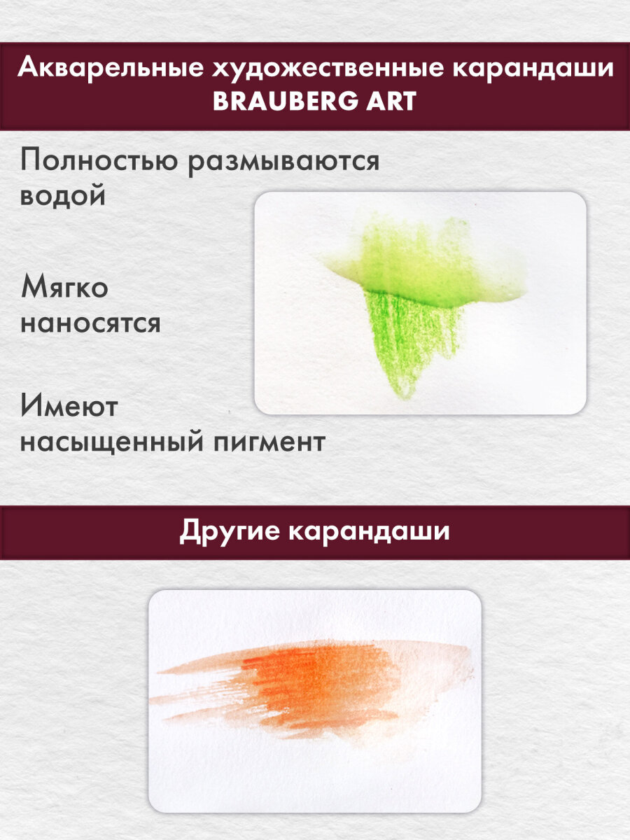 Карандаши акварельные Brauberg 12 шт. - фото 5
