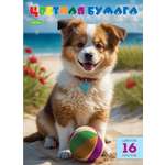Цветная бумага Hatber 16 лист.