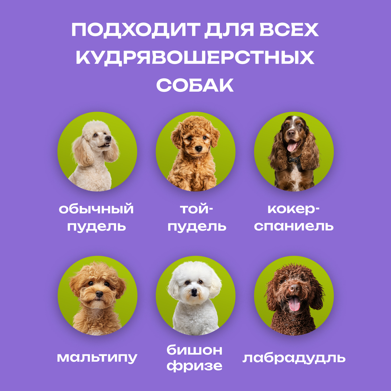 Шампунь для пуделя и мальтипу PETPOWER 500 мл - фото 6