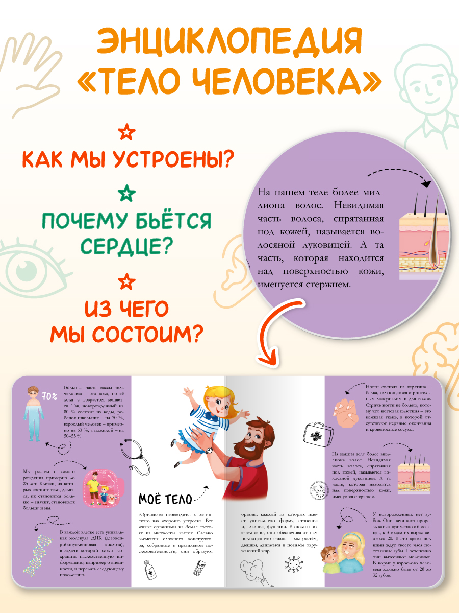 Книжка картонная Проф-Пресс энциклопедия Тело человека - фото 3