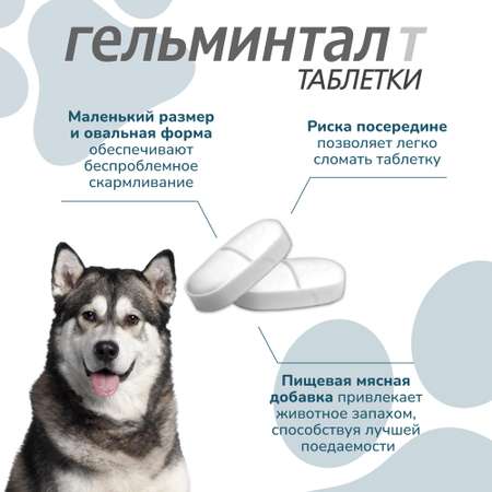 Антигельминтик для собак Гельминтал более 10кг 2шт