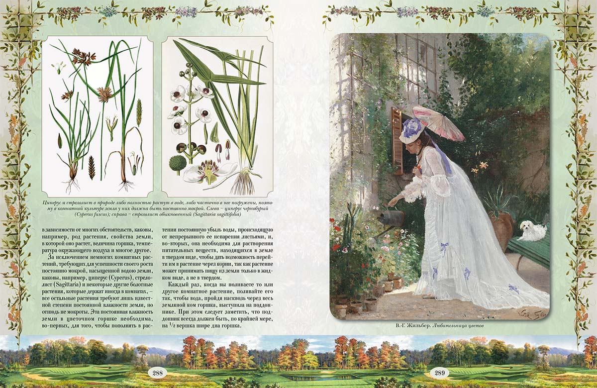 Книга Белый город Из Зеленого Царства. Популярные очерки из мира растений - фото 12