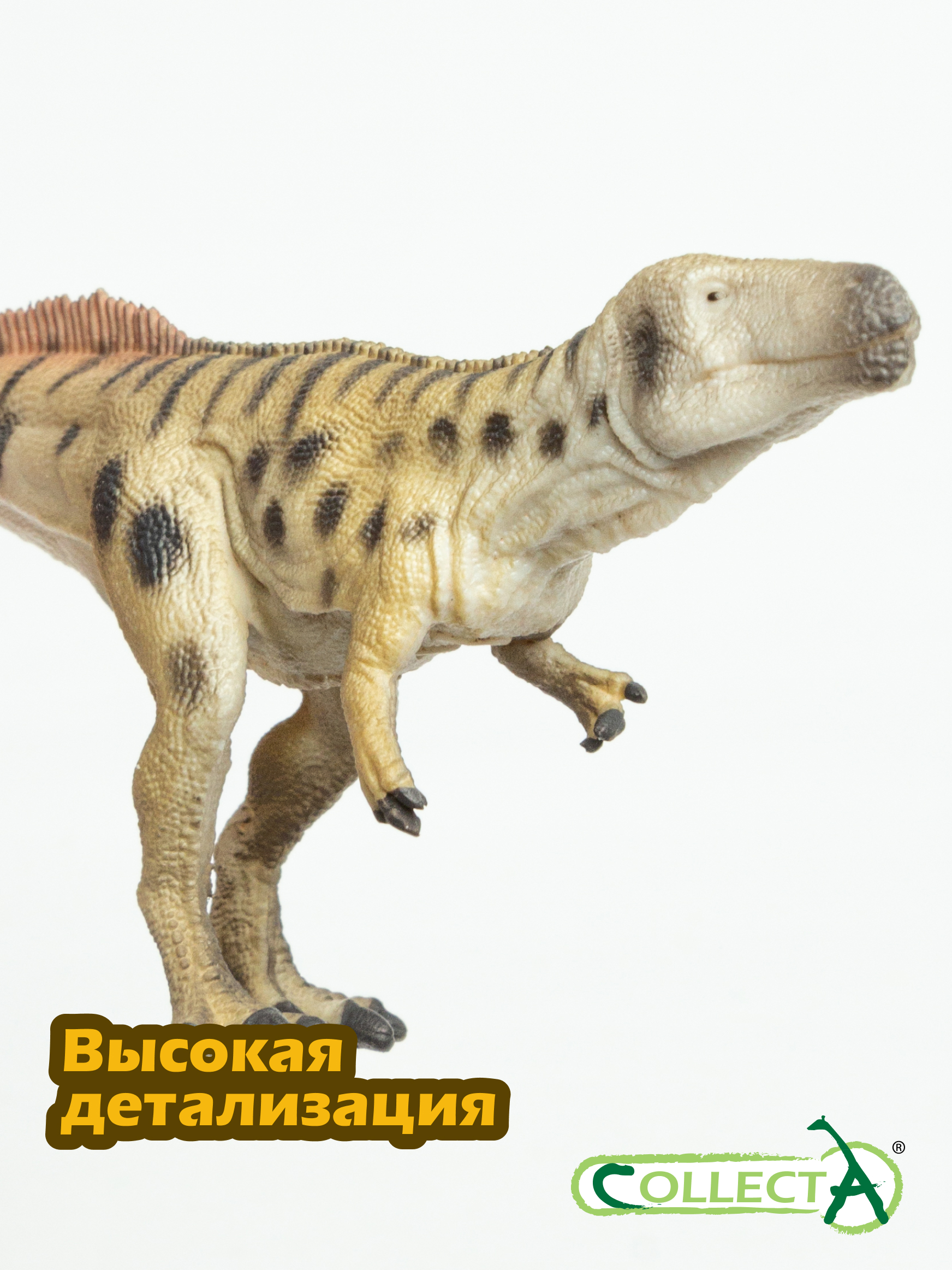 Фигурка Collecta Динозавр Мегалозавр - фото 3