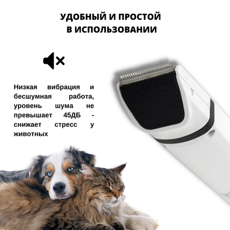 Триммер-гриндер Pettix Iclipper N6