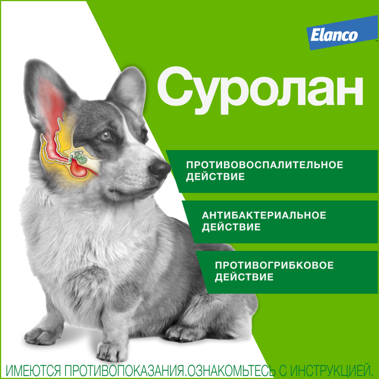 Препарат антигрибковый/антимикробный для собак и кошек Elanco Суролан 15мл - фото 2
