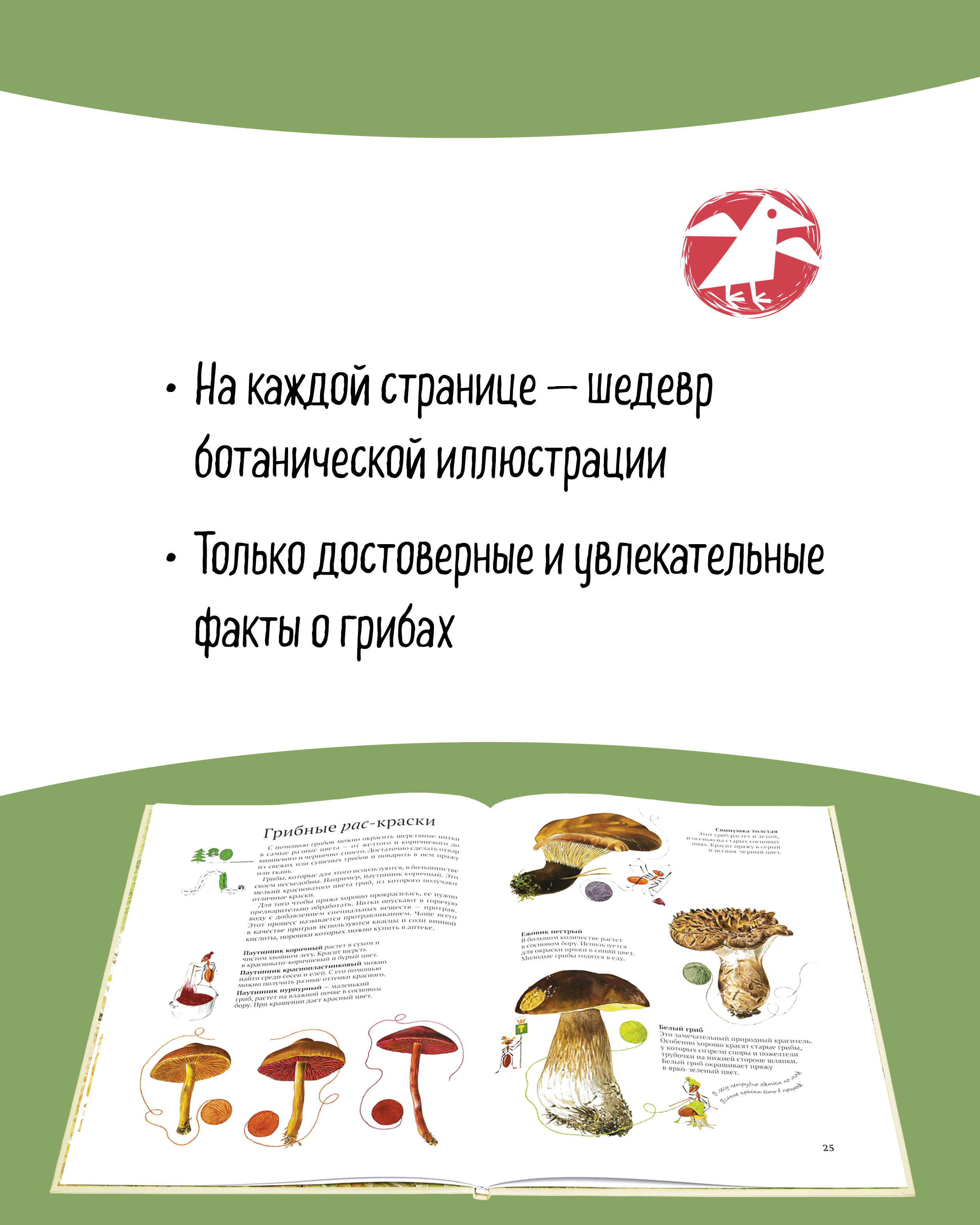 Книга ALBUS CORVUS Софи в мире грибов - фото 4