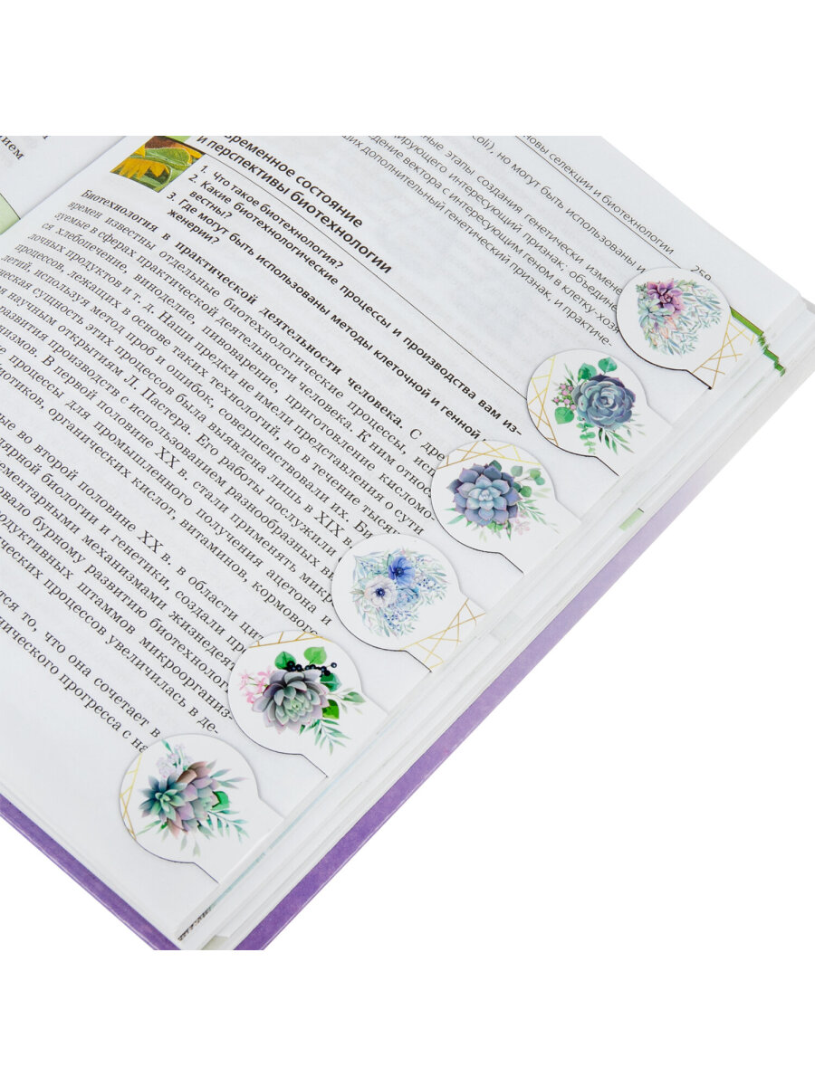 Закладки канцелярские Brauberg магнитные для книг в школу набор 6 штук - фото 7