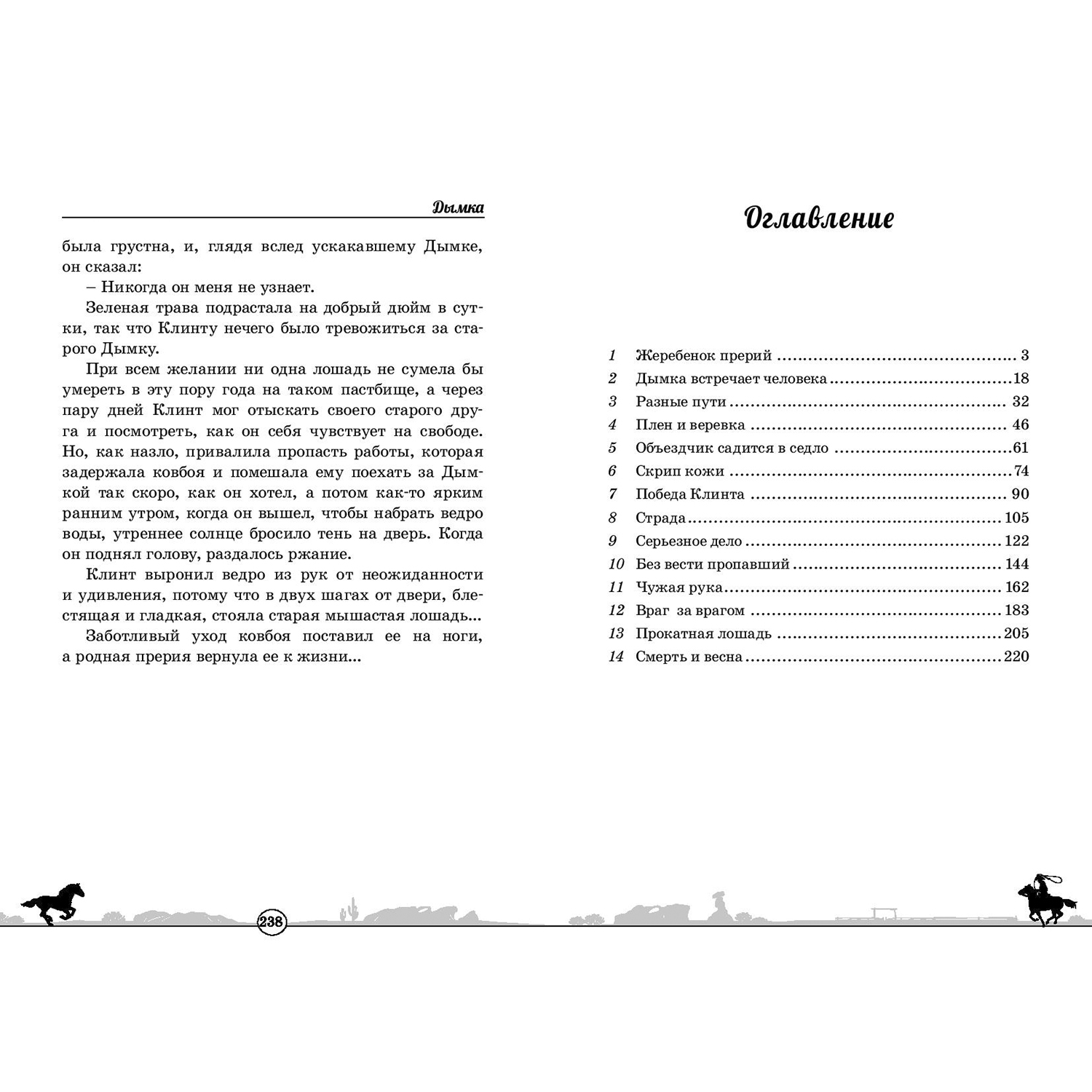 Книга ЭНАС-книга Дымка. Конь ковбоя - фото 6