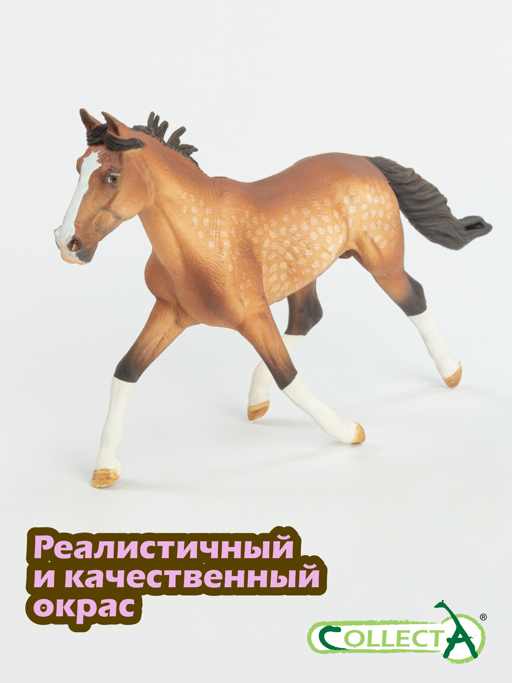 Фигурка Collecta Лошадь стандартбредный жеребец - фото 4