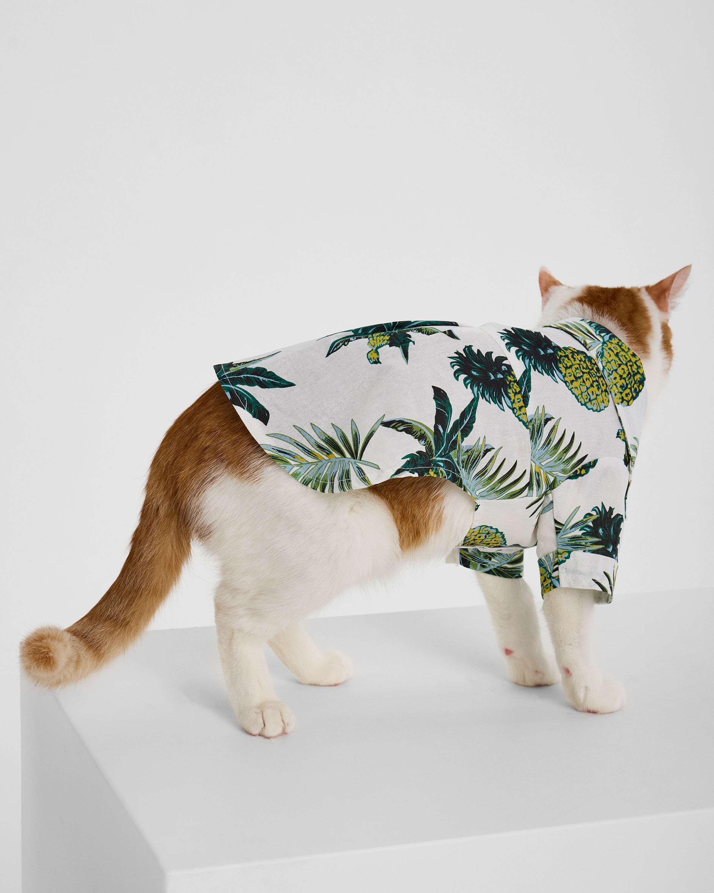 Рубашка для собак и кошек Зоозавр - фото 11