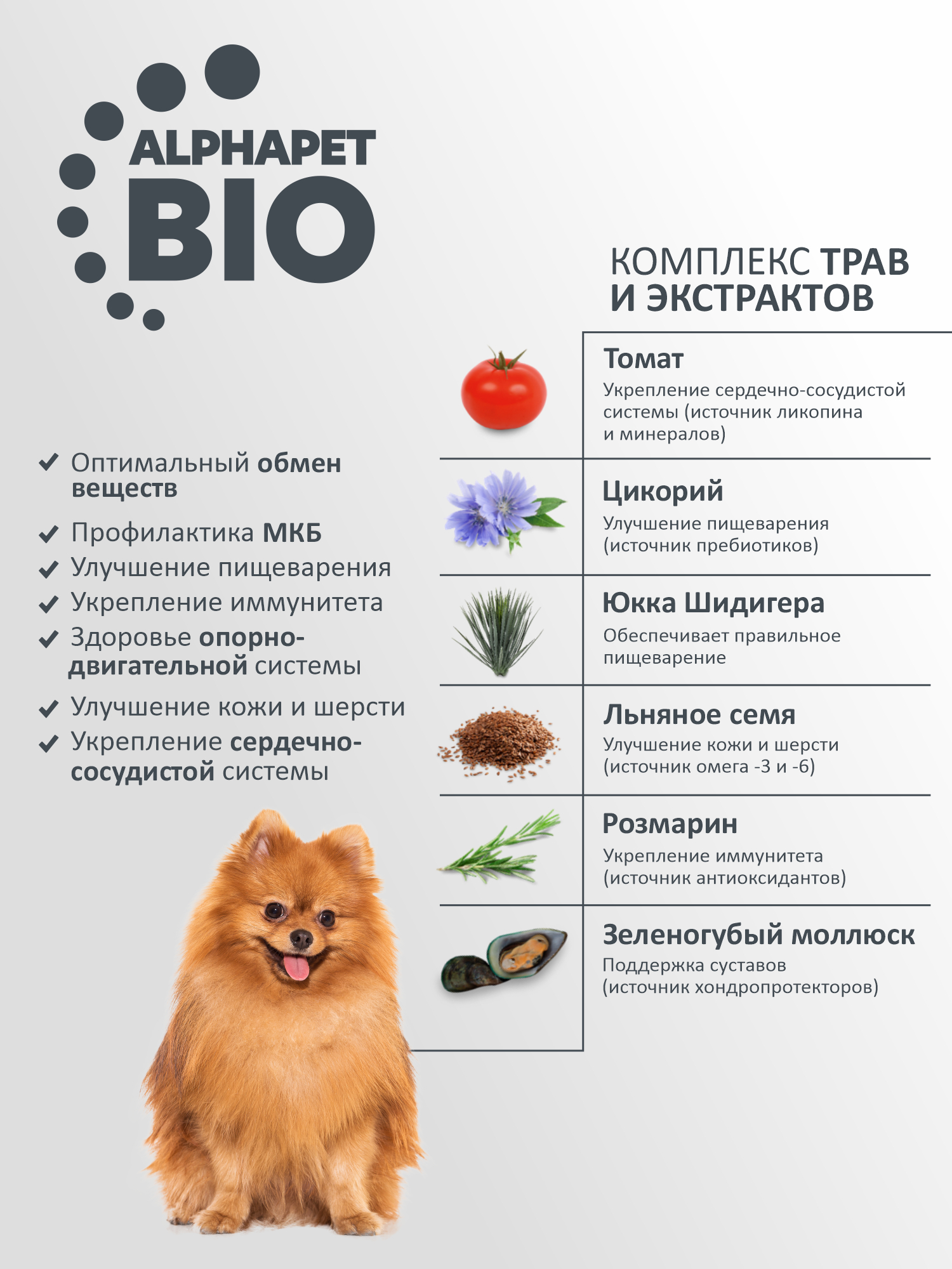 Корм для взрослых собак мелких пород AlphaPet с чувствительным пищеварением Wow Superpremium с ягненком и бурым рисом 7кг - фото 2