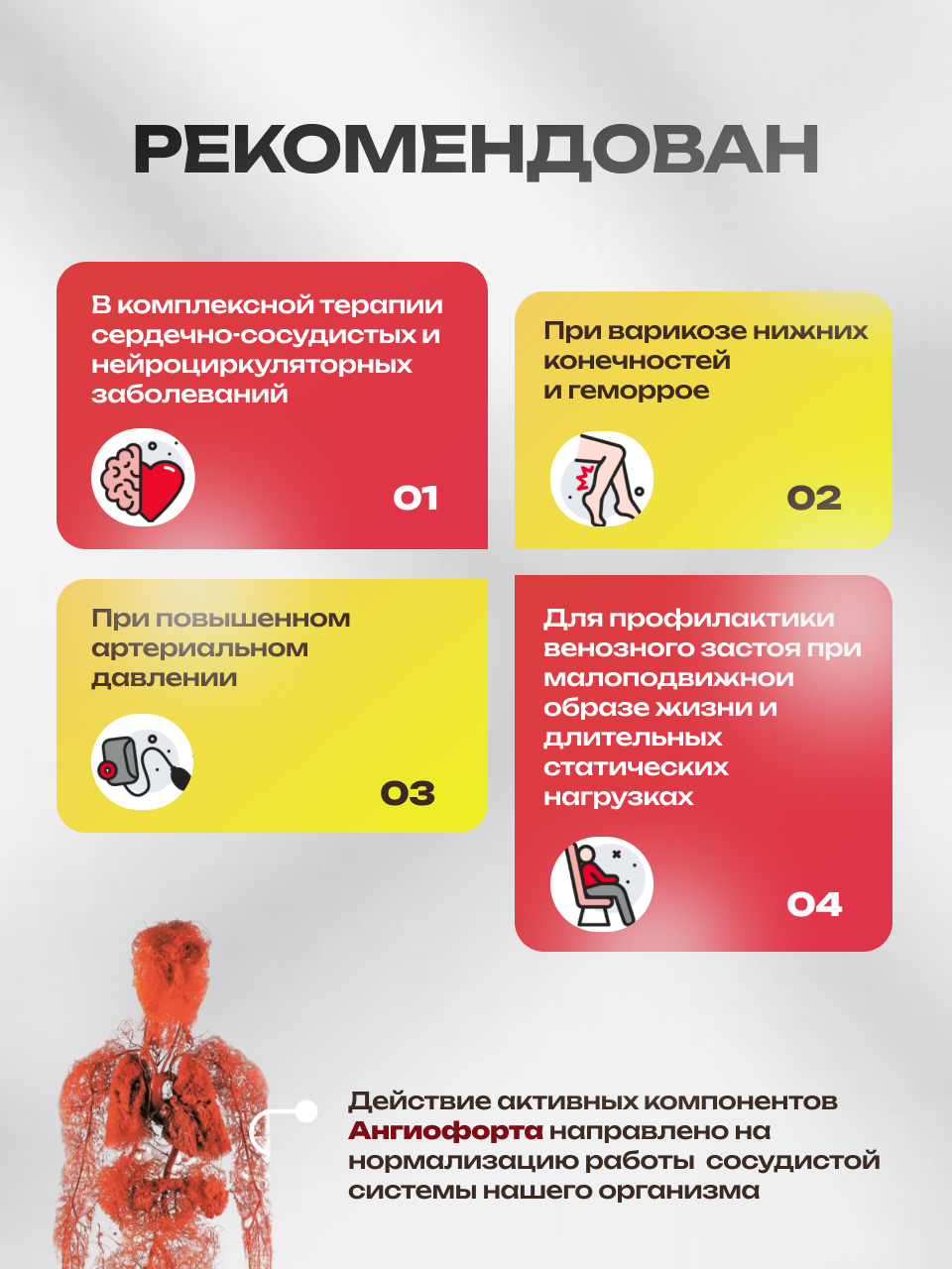 БАД Арт Лайф Ангиофорт Тонус вен и защита сосудов - фото 4