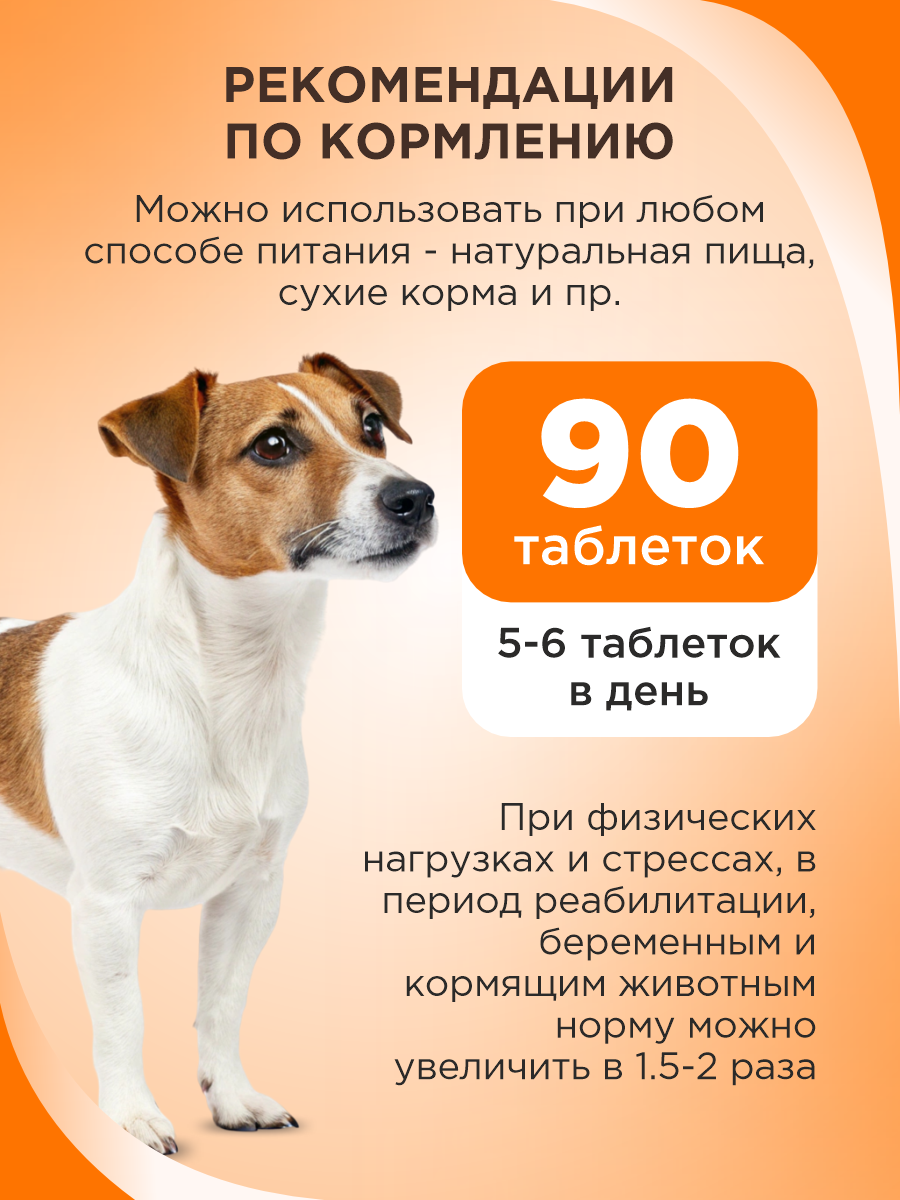 Полезное лакомство для собак GOODR DOG со вкусом голландского сыра 90 таб. - фото 7