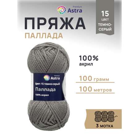Пряжа Astra Premium Паллада акриловая 100 г 100 м 15 темно-серый 3 мотка