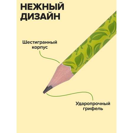 Карандаши чернографитные Brauberg 72 шт.
