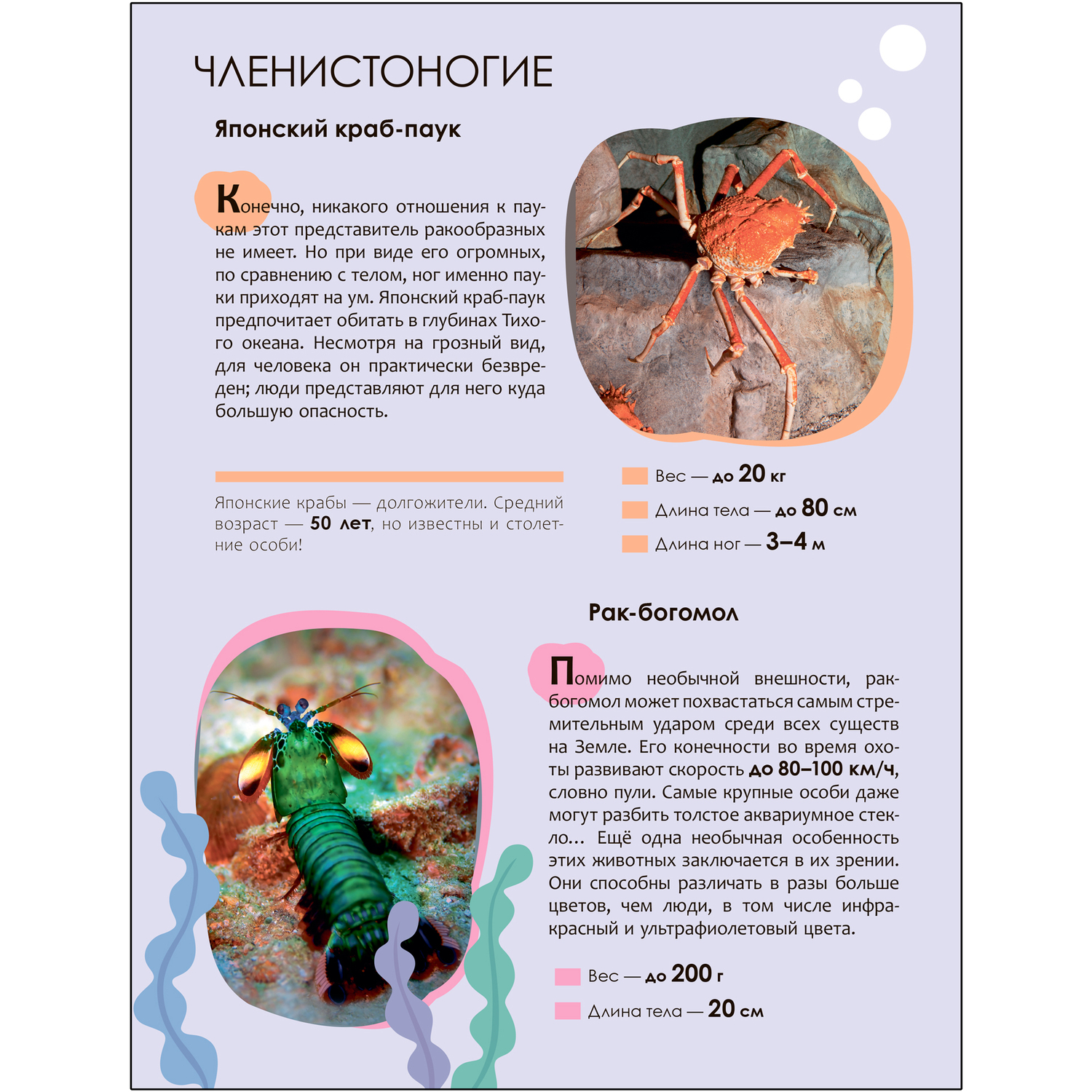 Книга МОЗАИКА kids Детская энциклопедия Красная книга - фото 4