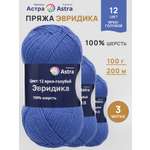Пряжа Astra Premium Эвридика шерстяная 100 г 200 м 12 ярко-голубой 3 мотка