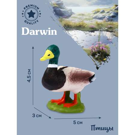Фигурка DARWIN Птицы Селезень