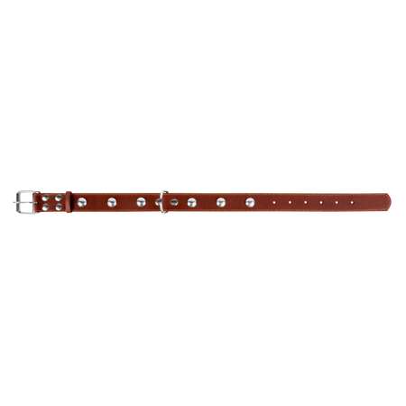 Ошейник для собак CoLLar крупных пород с украшением Коричневый 02716