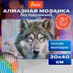 Алмазная мозаика Остров Сокровищ