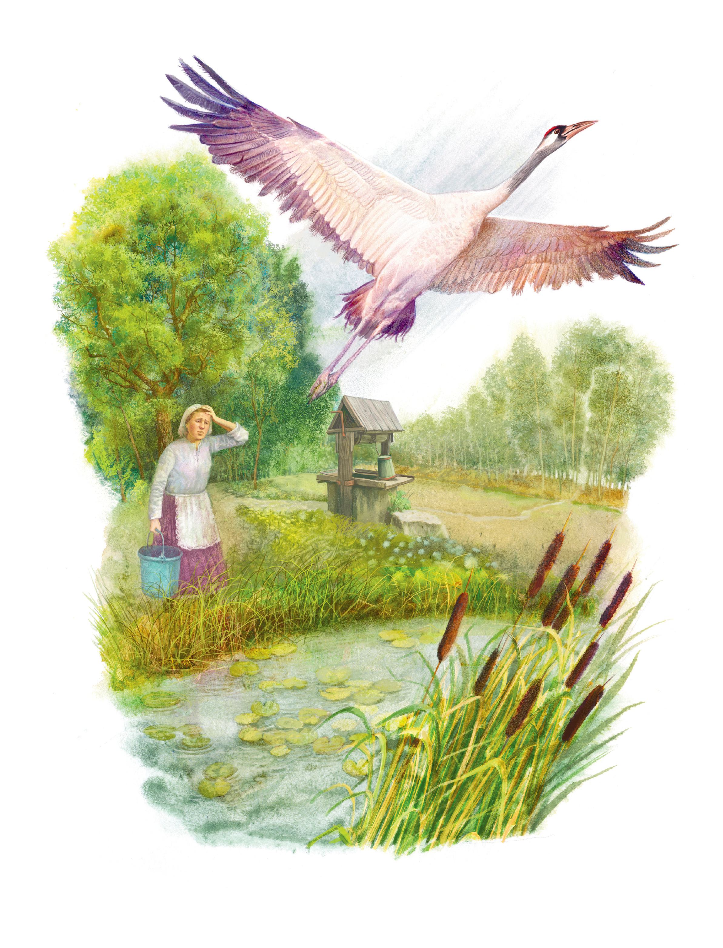 Книга Эксмо Золотой луг. Рассказы о животных (ил. Дударенко) - фото 3