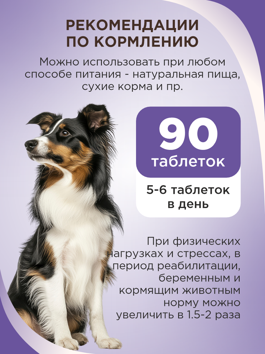 Полезное лакомство для собак GOODR DOG в период линьки 90 таб. - фото 7