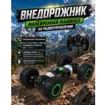 Внедорожник РУ Mobicaro