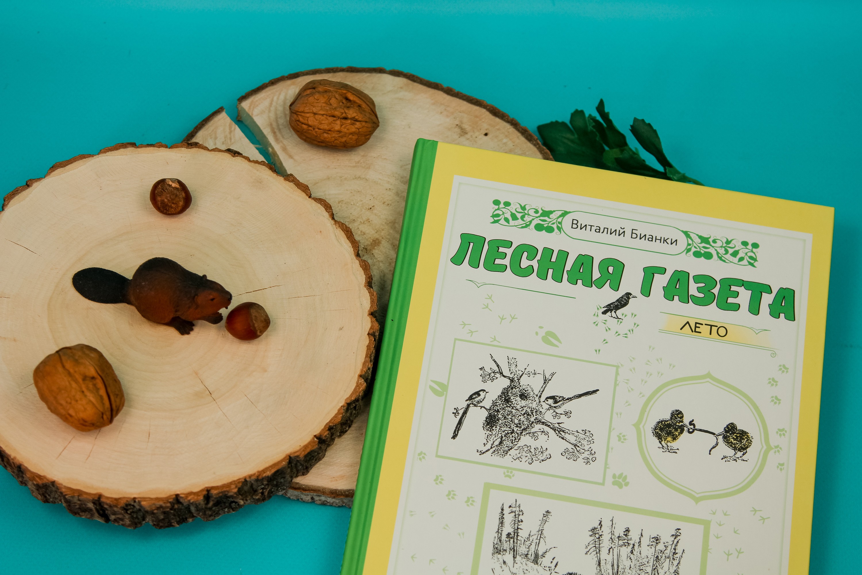 Книга ИД Мещерякова Лесная газета Лето - фото 2