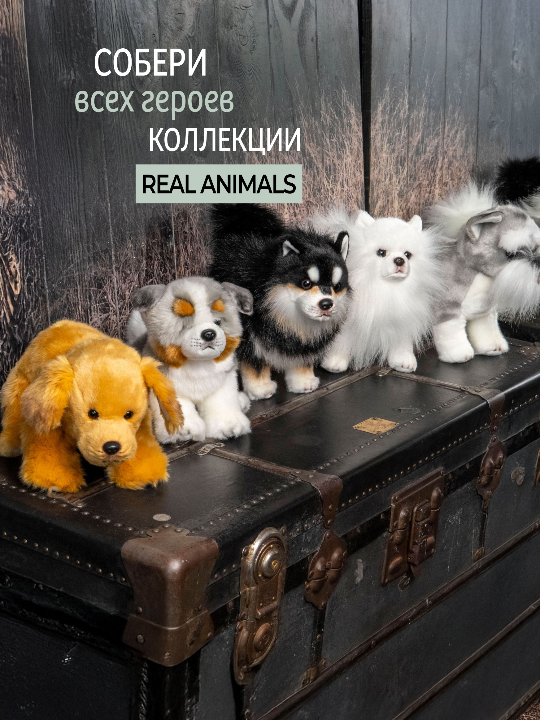 Мягкая игрушка GULLIVER toys собака Шнауцер 27см - фото 11