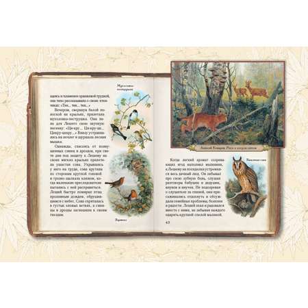 Книга Белый город Солнце для кузнечиков. Олеськины рассказы