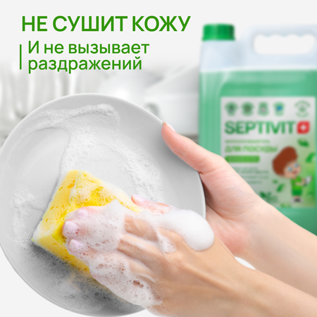 Средство для мытья посуды SEPTIVIT Нежное алое 5л
