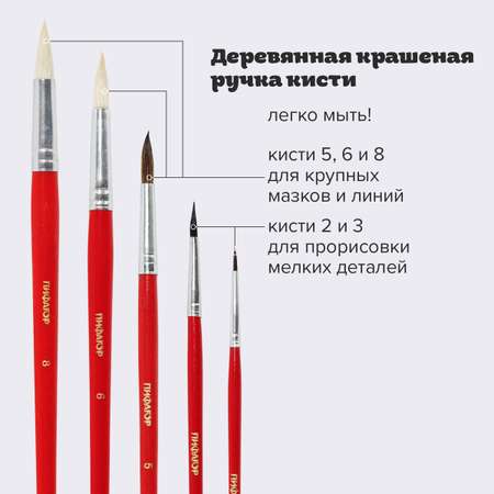 Кисть Пифагор 5 шт. (коза, белка, пони)