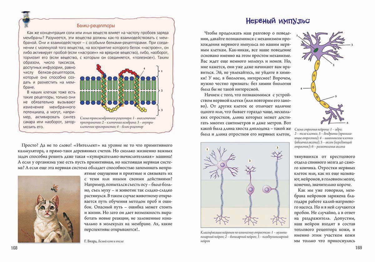 Книга Белый город Нескучная биология с задачами и решениями - фото 7
