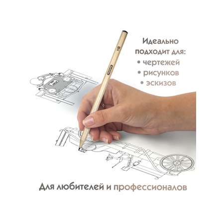 Карандаши чернографитные Пифагор 12 шт.