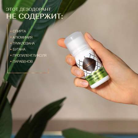 Дезодорант Zeitun шариковый минеральный с квасцами без спирта аромат Цитрус 50 мл